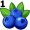 blueberry 15